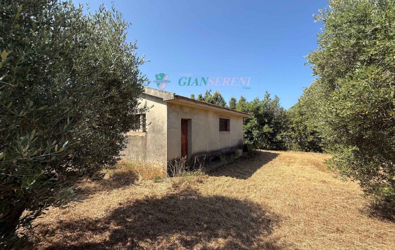 Agenzia Giansereni - 