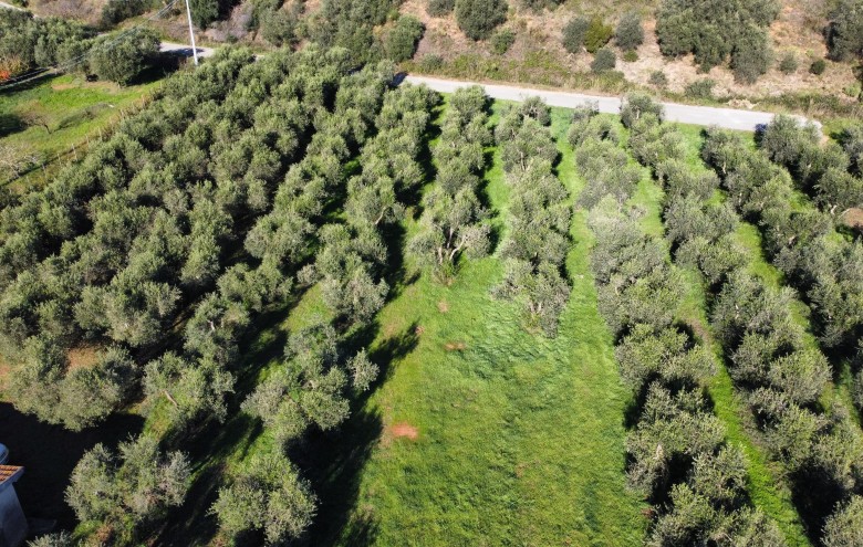 Agenzia Giansereni - 