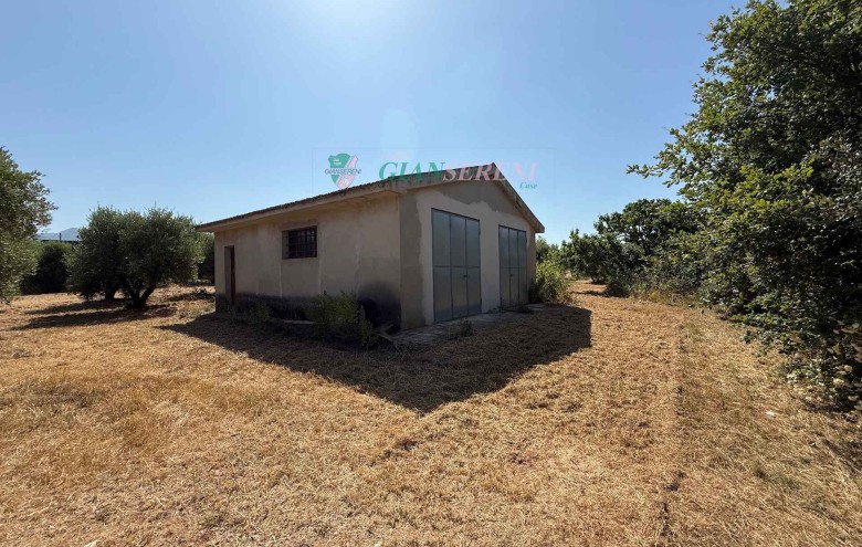 Agenzia Giansereni - 
