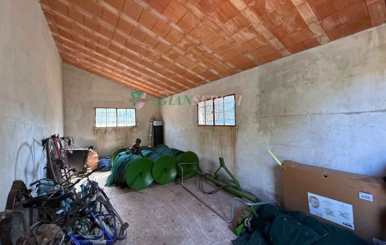 Agenzia Giansereni - 