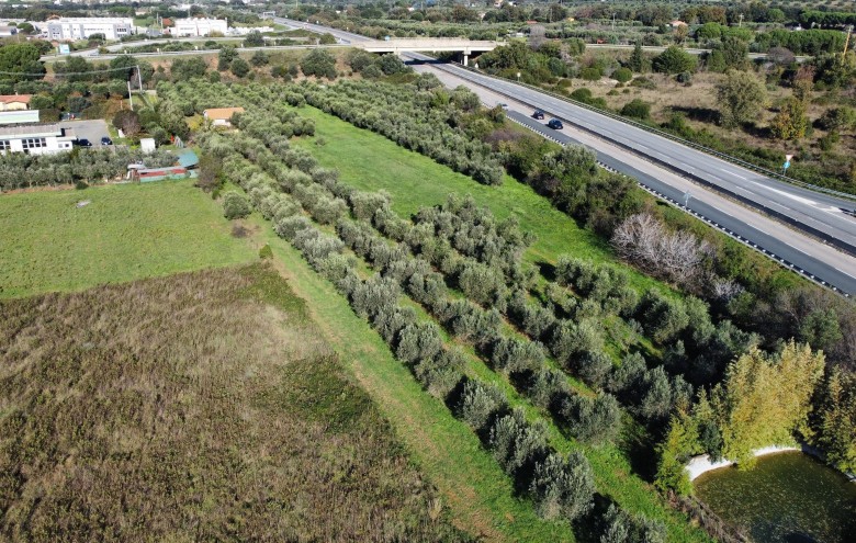Agenzia Giansereni - 