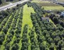 Terreno agricolo di 10000 mq c