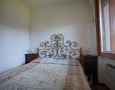 Pegasus - 
