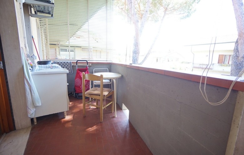 Agenzia Pegasus - 
