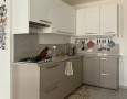 Pegasus - 