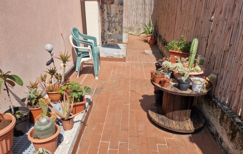 Agenzia Pegasus - 