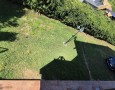 Pegasus - 