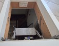 Pegasus - 