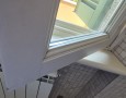 Pegasus - 