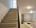 Pegasus - 