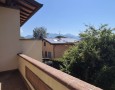 Pegasus - 