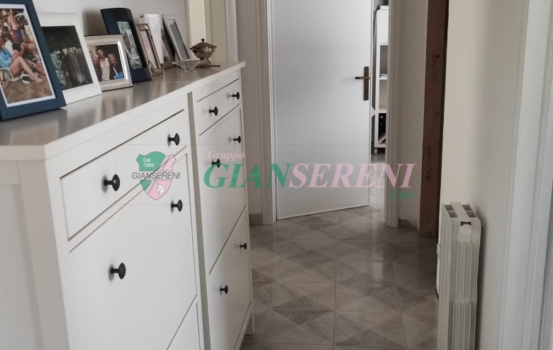 Agenzia Giansereni - 