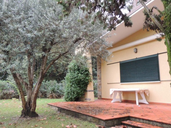Villa Singola in affitto, Forte dei Marmi, Vittoria Apuana 