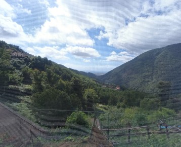Porzione di casa con giardinet