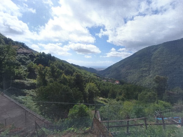 Porzione di casa con giardinet