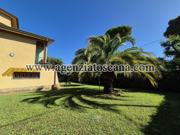 Villa for rent, Forte Dei Marmi - Ponente -  19