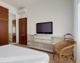 Pegasus - 