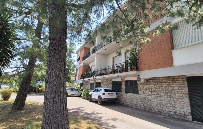 Agenzia Pegasus - 