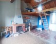 Pegasus - 