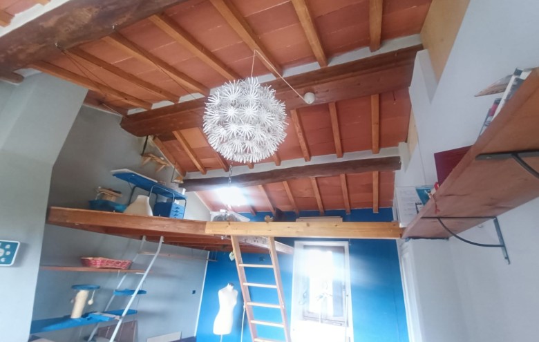 Agenzia Pegasus - 