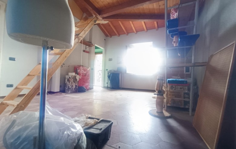 Agenzia Pegasus - 