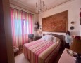 Pegasus - 