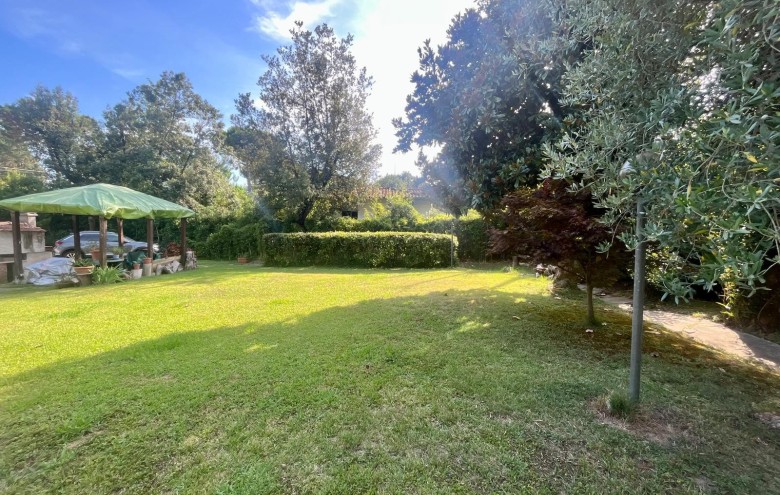 Agenzia Pegasus - 