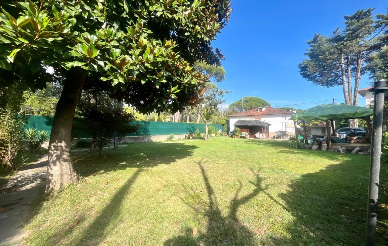 Agenzia Pegasus - 