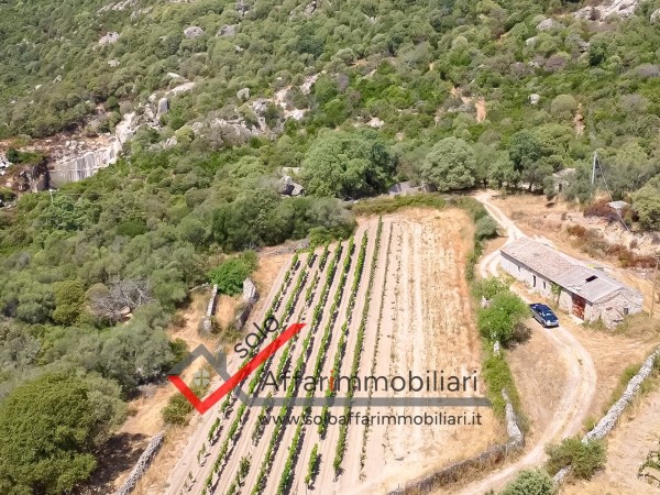 Riferimento TR131 - Terreno in Vendita a San Bachisio