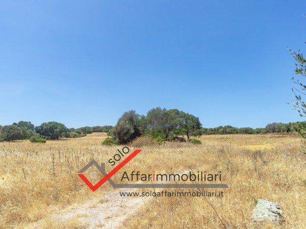 Riferimento TR132 - Terreno Agricolo in Vendita a Telti