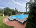 Pegasus - 