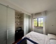 Pegasus - 