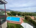 Pegasus - 
