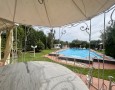 Pegasus - 