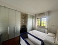 Pegasus - 