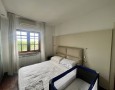 Pegasus - 