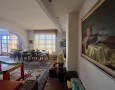 Pegasus - 