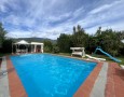 Pegasus - 
