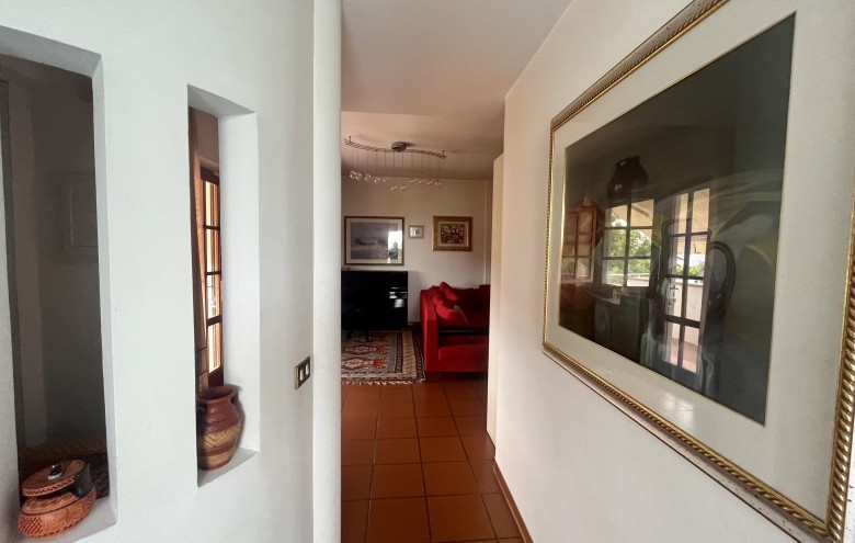 Agenzia Pegasus - 