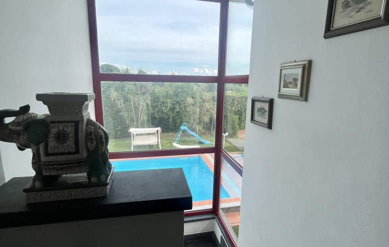 Agenzia Pegasus - 