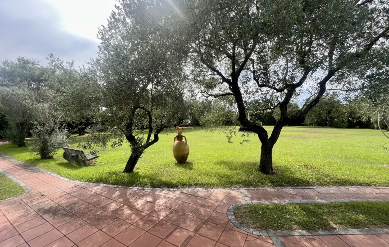 Agenzia Pegasus - 