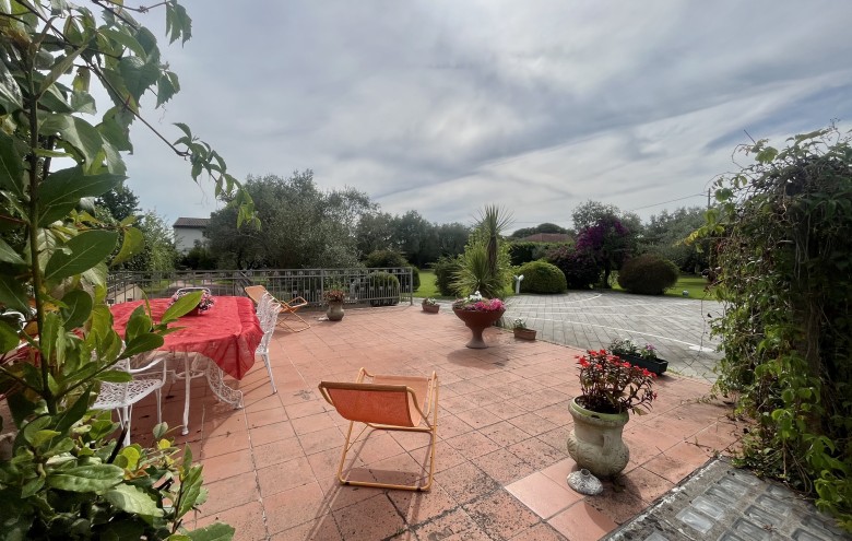 Agenzia Pegasus - 