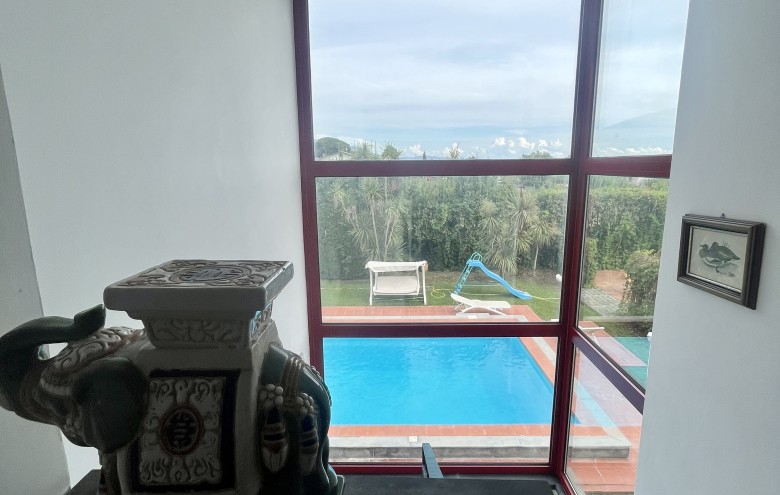 Agenzia Pegasus - 