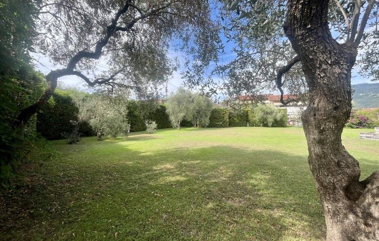 Agenzia Pegasus - 