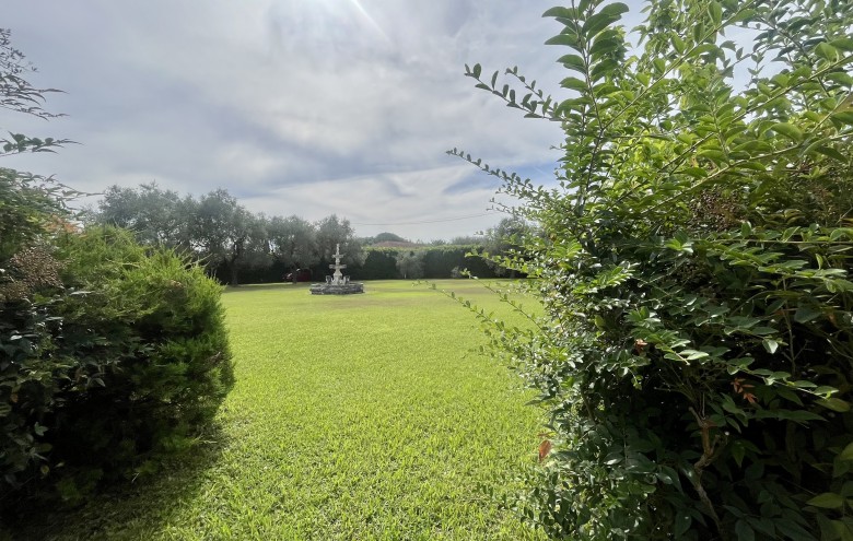 Agenzia Pegasus - 