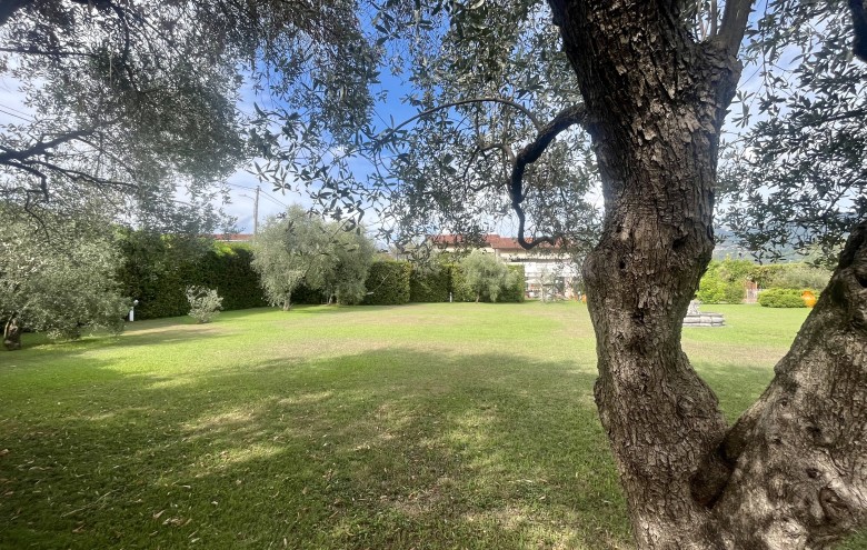 Agenzia Pegasus - 