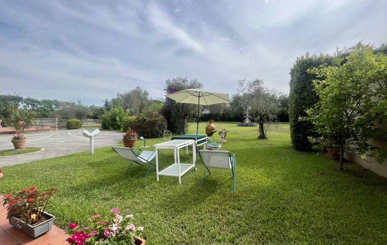 Agenzia Pegasus - 