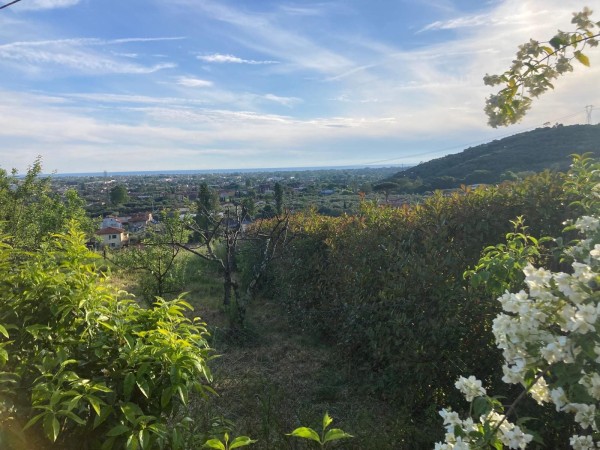 Rustico - Casolare in vendita, Pietrasanta, Strettoia 