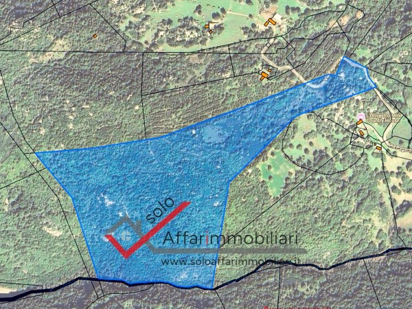 Riferimento TR134 - Terreno Agricolo in Vendita a Sant'antonio Di Gallura