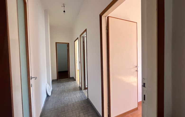 Agenzia Pegasus - 